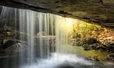 Köpek katliam Falls