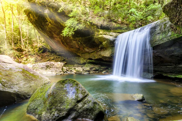 Собачий водопад — стоковое фото