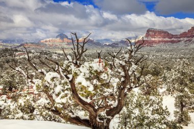 Desert in Sedona after snow storm clipart