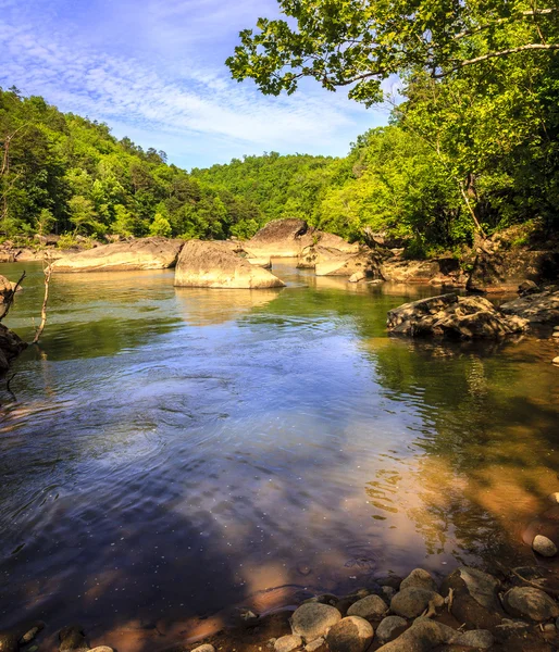 Río Cumberland en el bosque — Foto de Stock