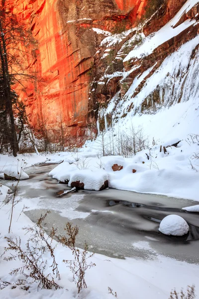 Oak Creek en invierno —  Fotos de Stock