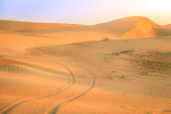 Huellas de neumáticos en el desierto — Foto de Stock