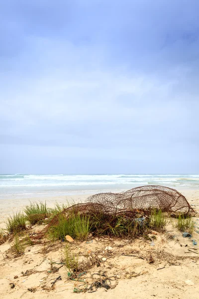 Аль Mughsayl пляж — стокове фото