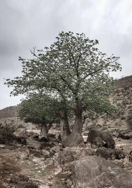 Weergave van Bagamoyo — Stockfoto