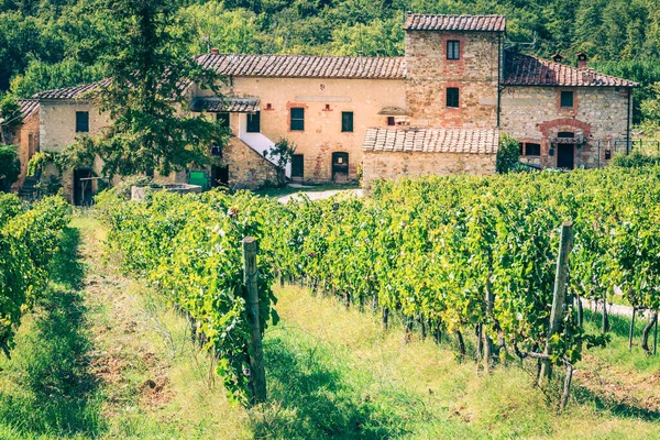 Una Antigua Granja Viñedo Toscana Italia — Foto de Stock