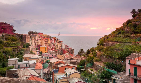 Cinque Terre Ulusal Parkı Ndaki Manarola Köyünden Akdeniz Manzarası — Stok fotoğraf