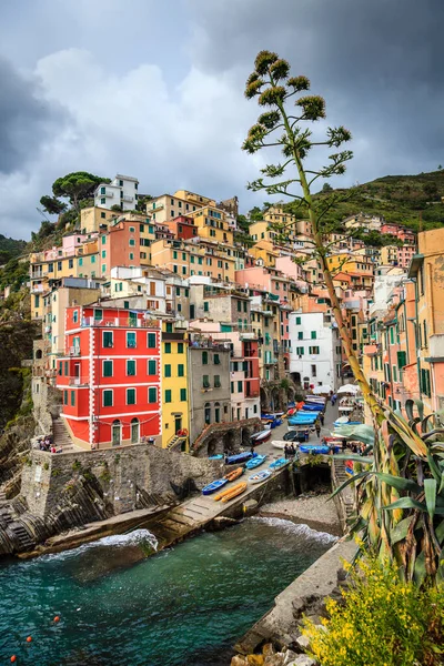 Talya Daki Cinque Terre Ulusal Parkı Ndaki Riomaggiore Köyünün Renkli — Stok fotoğraf