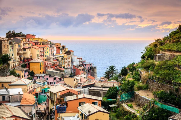 Θέα Στη Μεσόγειο Θάλασσα Από Χωριό Manarola Στο Εθνικό Πάρκο — Φωτογραφία Αρχείου