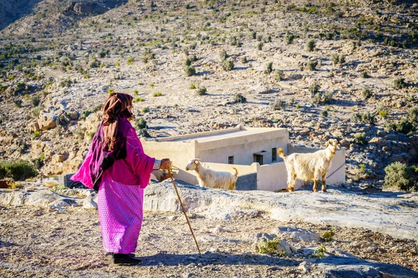 Jebel Akhdar Oman Grudnia 2016 Miejscowa Kobieta Czuwa Nad Swoimi — Zdjęcie stockowe
