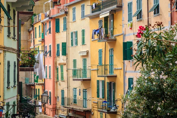 이탈리아의 리오마조레 마을에 가옥들 — 스톡 사진