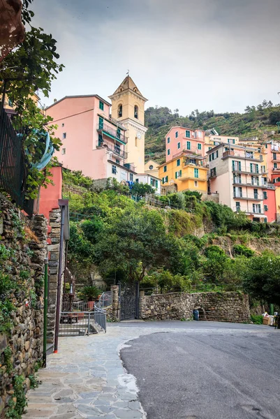 Uma Rua Casas Tradicionais Aldeia Manarola Parque Nacional Cinque Terre — Fotografia de Stock