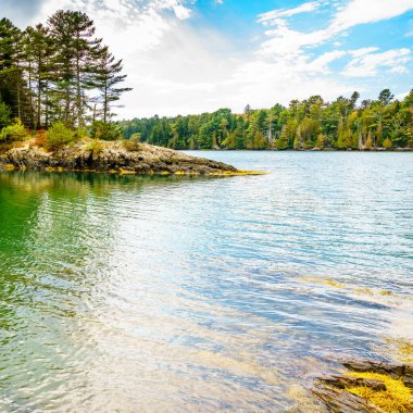 Maine, Orr Adası 'ndan sonbaharda manzara.