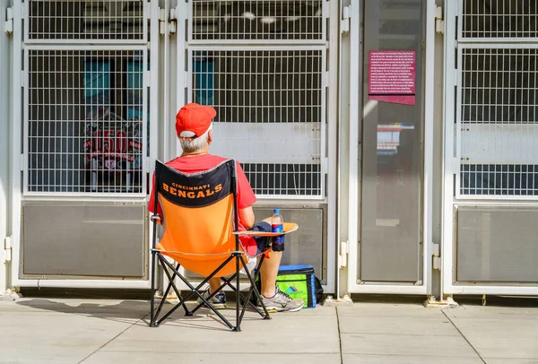 Cincinnati Ohio Agosto 2020 Homem Assiste Jogo Beisebol Uma Tela — Fotografia de Stock