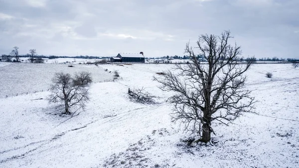 Scénický Pohled Farmu Středním Kentucky Pod Čerstvým Sněhem — Stock fotografie