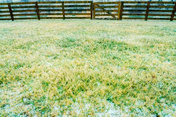 Gräs Täckt Efter Isstorm Centrala Kentucky — Stockfoto