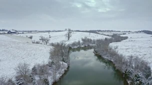 ケンタッキー州中央部の新雪の下の小さな湖と農場の空中風景 — ストック動画