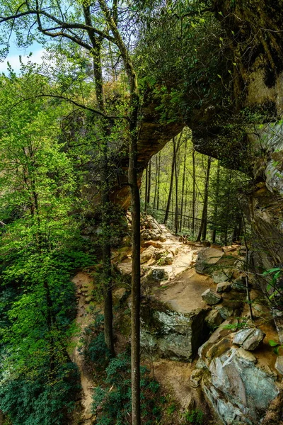 Scénický Pohled Šedý Oblouk Rokli Červené Řeky Kentucky — Stock fotografie