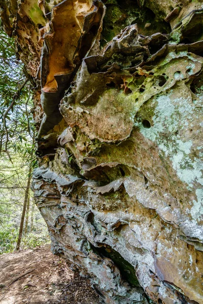 Formações Arenito Encontradas Red River Gorge Kentucky — Fotografia de Stock