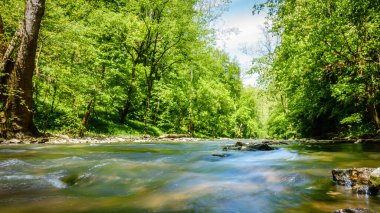 Kentucky 'deki Jessamine Creek' in düşük seviye manzarası