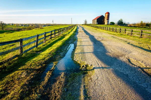 Kentucky Deki Bir Çiftlikten Geçen Bakımsız Bir Köy Yolu — Stok fotoğraf