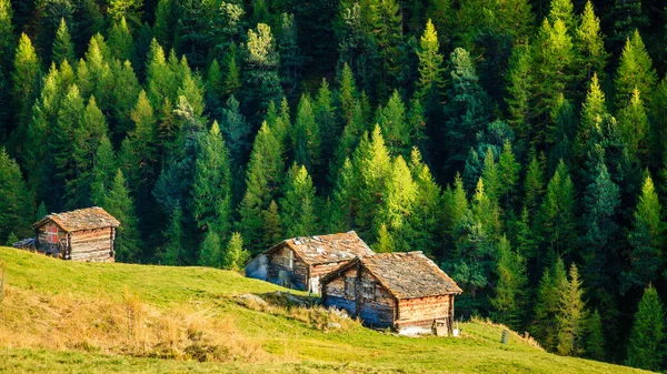 Tradiční Staré Stodoly Vesnici Švýcarských Alpách — Stock fotografie