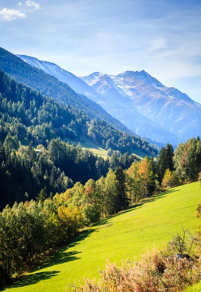Yazın Sviçre Alplerinde Bir Vadinin Manzarası — Stok fotoğraf