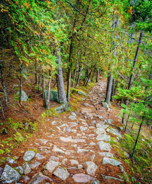 Turistická Stezka Podél Dlouhého Rybníka Národním Parku Acadia Maine — Stock fotografie