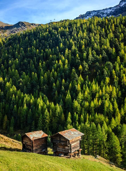 Fienili Tradizionali Villaggio Delle Alpi Svizzere — Foto Stock