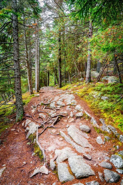 Turistická Stezka Podél Dlouhého Rybníka Národním Parku Acadia Maine — Stock fotografie
