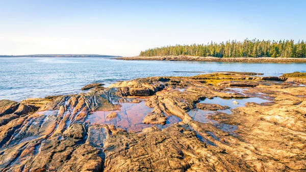 Βραχώδης Ακτογραμμή Στο Εθνικό Πάρκο Acadia Στο Μέιν — Φωτογραφία Αρχείου