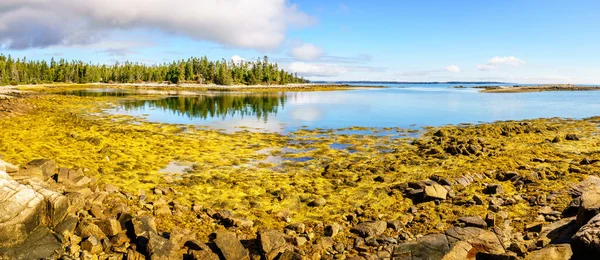 Panoramiczny Widok Wybrzeże Parku Narodowego Acadia Maine Podczas Odpływu — Zdjęcie stockowe