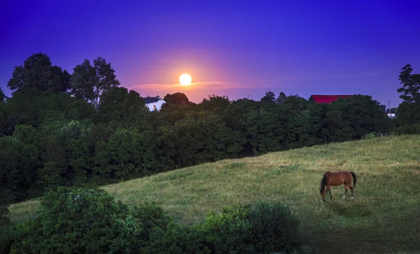 Kentucky moonrise — Stock fotografie