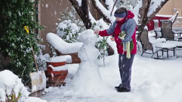 Fazendo boneco de neve — Vídeo de Stock