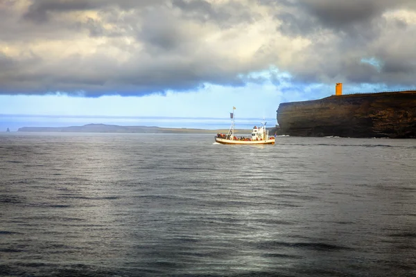 Walvis kijken schip — Stockfoto