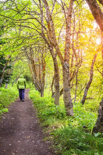 Hofdi natuurpark — Stockfoto