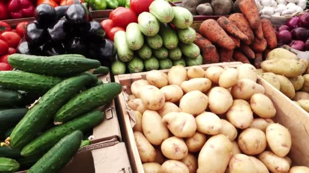 Verduras frescas en un mercado de agricultores — Vídeo de stock