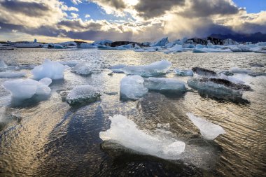 jokulsarlon gölünde yüzer icebergs