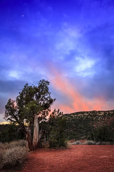 Gün batımından afterglow arizona yüksek çölde — Stok fotoğraf