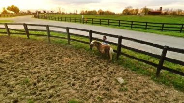 kadın sevişme midilli