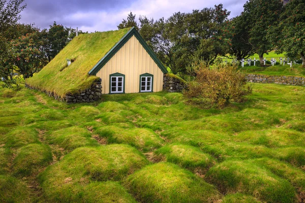 Hofskirkja 草坪顶教堂 — 图库照片