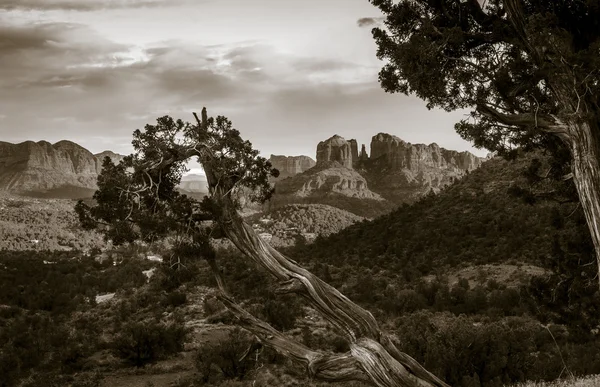 Sonnenuntergang am Domfelsen in Sedona — Stockfoto