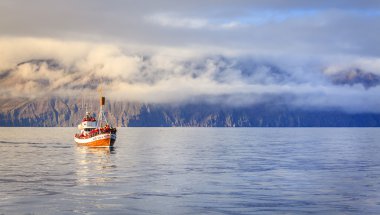 Gemi Skjalfandi Bay Balina