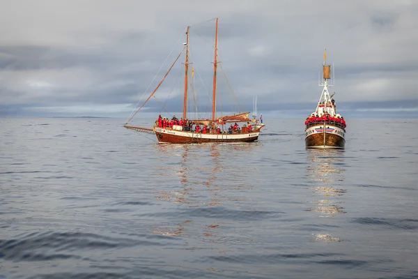 ปลาวาฬดูเรือในอ่าว Skjalfandi — ภาพถ่ายสต็อก