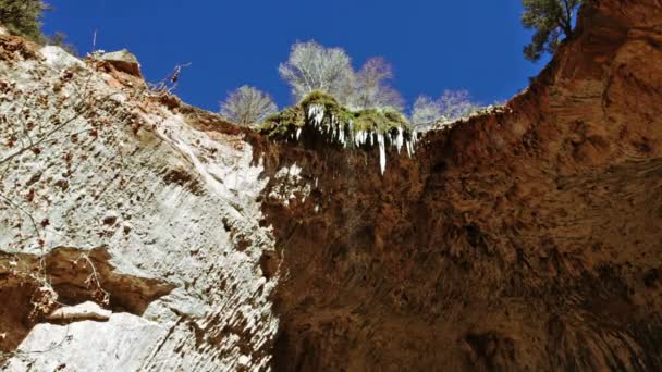 Icicles melting on the natural bridge — Stock Video