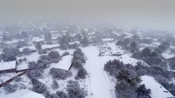 Schneesturm in Sedona — Stockvideo