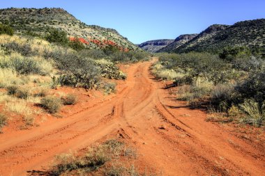 Toprak yol Cottonwood yakınlarında çölde