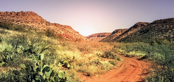 Dirt road in the desert — Stock Photo, Image