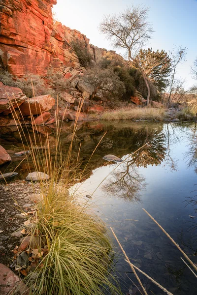 Cama de arroyo en alto desierto — Foto de Stock