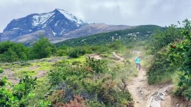 Şili 'de Torres Del Paine Ulusal Parkı' ndaki Mirador Las Torres yolunda bir kadın yürüyüş yapıyor.