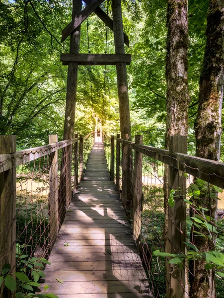 Hängbro i skogen — Stockfoto